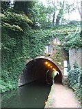 SP0585 : The Edgbaston Tunnel by David Smith