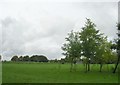 Playing Fields - Bingley Road