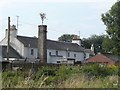 Tree on a chimney, Crosshill