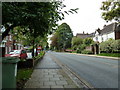 Looking southwards down Kingsgate Road