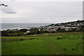 Lyme Regis : Hillside & Townscape