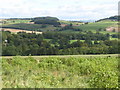 Farmland northwest of Big Axit (2)