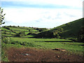 Stream valley east of Bishopsteignton: 2