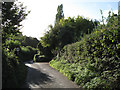 Nearing Bishopsteignton on Coombe Way