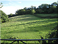 Hillside above Coombe Way