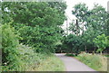 Farm track just north of Wykehurst Farm