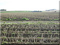 Farmland near Crofts of Inverthernie