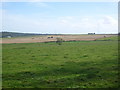 Farmland near Arnyburn