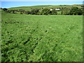 Footpath towards Handley Fold Farm