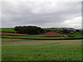 Fields and wood near Lyde Cross