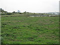 Whitehall Creek Marsh