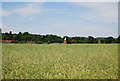 Slaters Oast across the oil seed rape