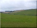 Farmland near North Upperbrae