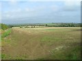 Fields near Fosse Way