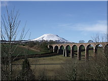 NT5734 : Leaderfoot Viaduct by Roy Smart