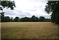 Field by the path to Cranleigh