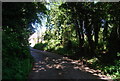 Lane from Moat Cottage, Newington