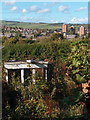 Abandoned allotment off Hagg Lane with Stannington beyond