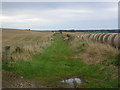 Farm track near Backhill