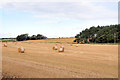 Farmland near Nairn