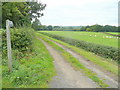 Track and footpath to Ashworthy Farm