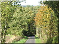 Minor road through the woodland north of Temperley Grange