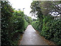 Crab and Winkle Way cyclepath towards Whitstable Railway Station