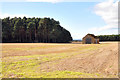 Unusual barn in a field near Whiteinch