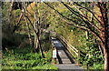 Footbridge, Downpatrick (2)