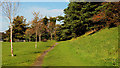 Footpath, Downpatrick