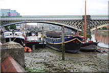 TQ2676 : Boats by the eastern span of Battersea Railway Bridge by N Chadwick