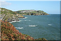 Polruan from Southground Cliffs