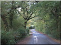 Gibbs Brook Lane