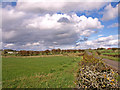 Farmland near Merryhill