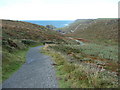 Footpath to Kynance Cove