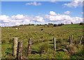 Farmland near Fullwood