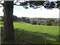 SX7439 : Field above Snapes Manor by Derek Harper