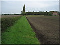 Footpath leading towards Hagg Lane