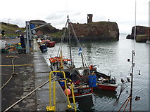 NT6779 : Coastal East Lothian : Bringing The Catch Ashore at Victoria Harbour, Dunbar by Richard West