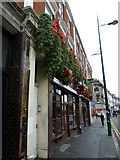 SZ0991 : Floral display in Old Christchurch Road by Basher Eyre