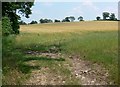 Farmland next to Charley Road