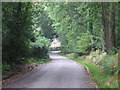 Marsh Green Lane, Ashdown Forest