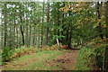 Track on Laggan Hill, Crieff