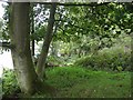 J0867 : Deer Park, near Lough Neagh by Kenneth  Allen