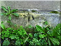 Benchmark on the Catholic Hall, Marlborough Street