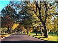 Towneley Park, Burnley