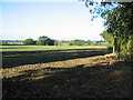 Farmland, Eastern Green