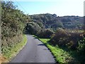 View back along the road in the direction of Tyddyn-Rhys