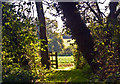 Stile and footpath with horse