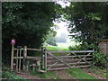 Stile and gate near Hartfield